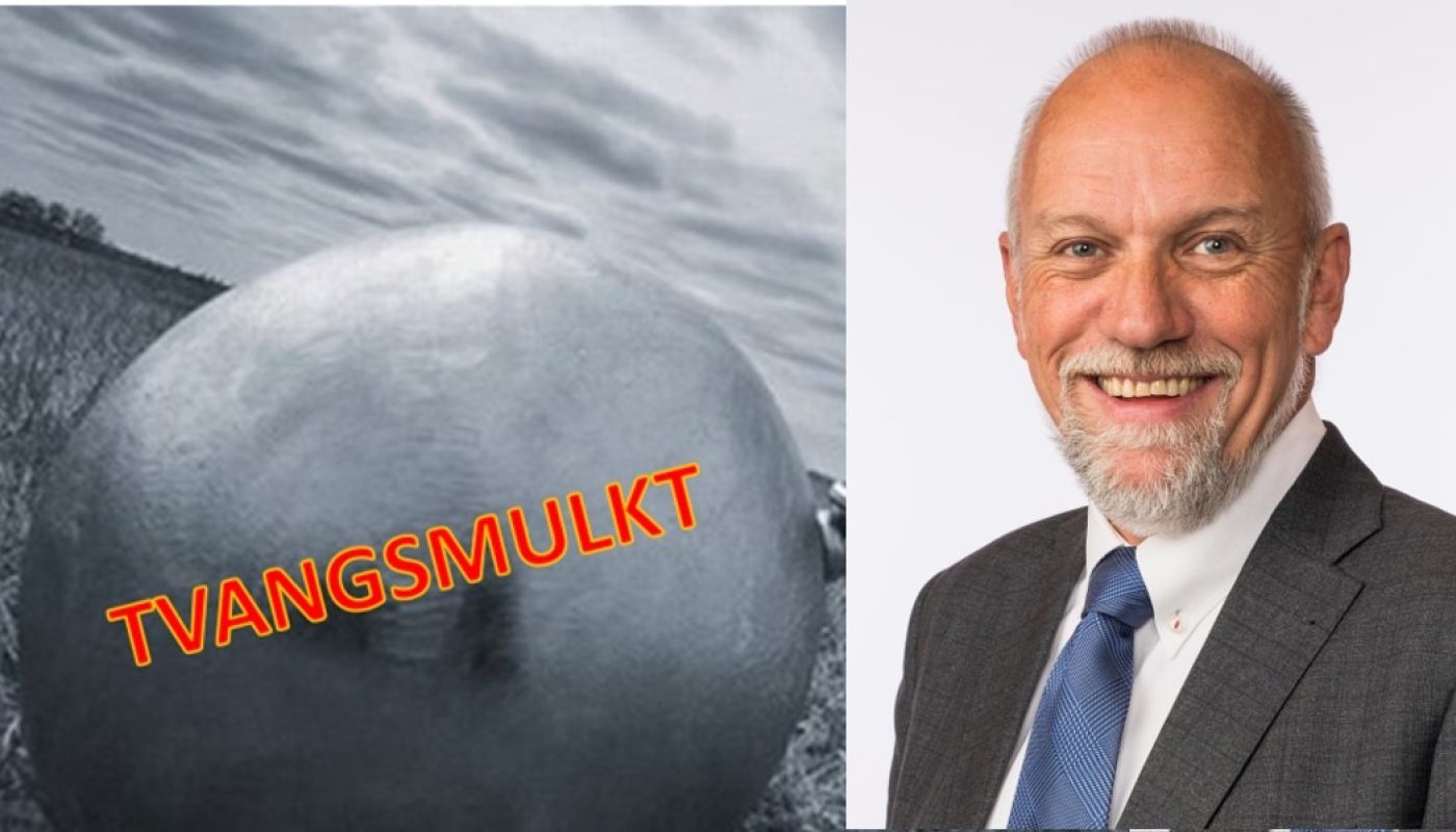 Foto: Stortinget